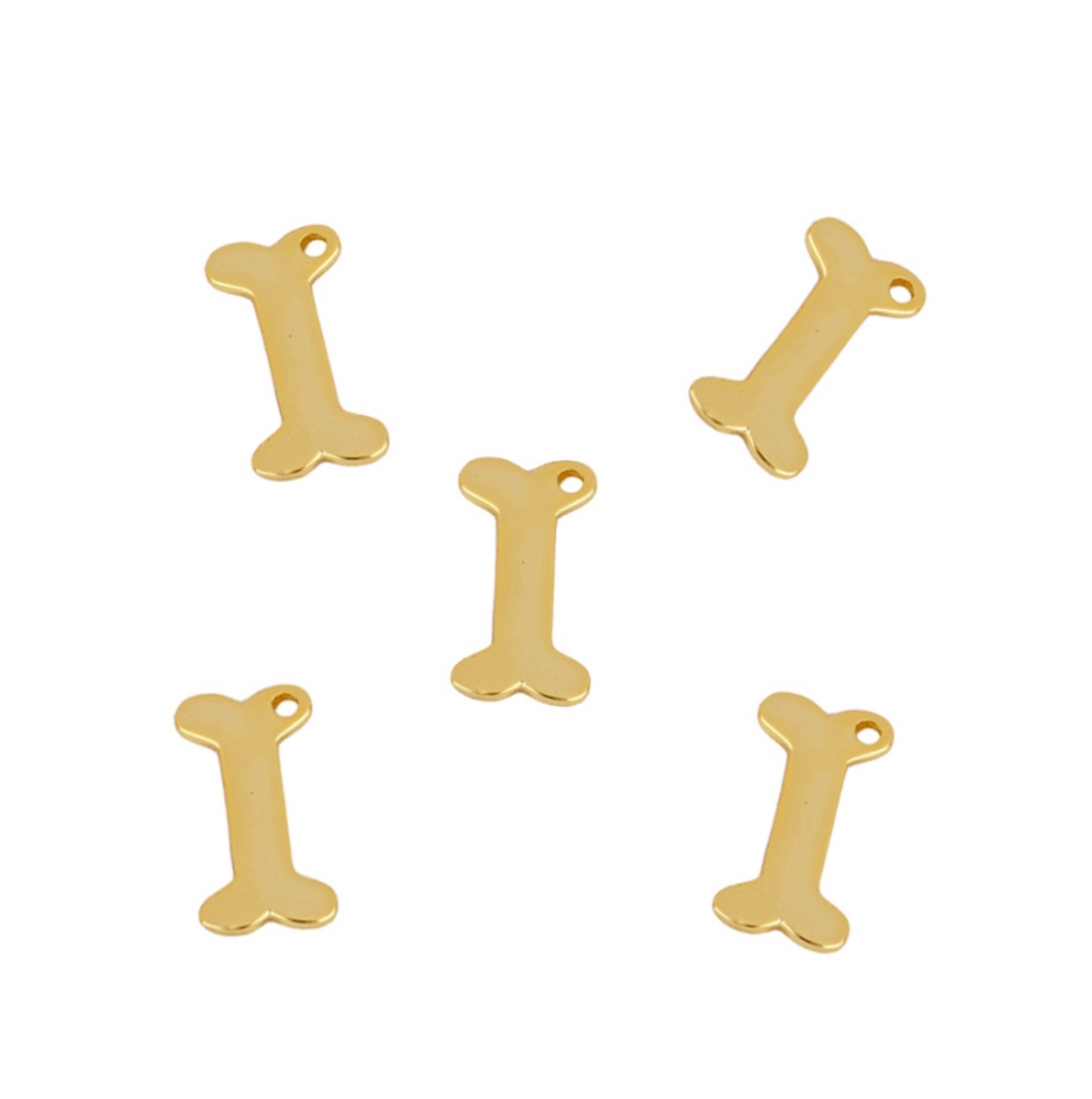 Charm Hueso