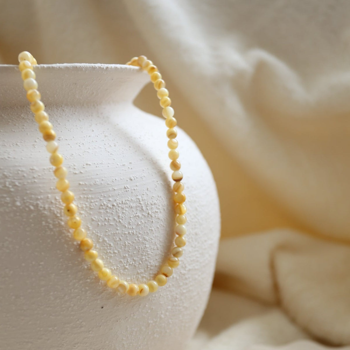 Collar Verbena Amarillo