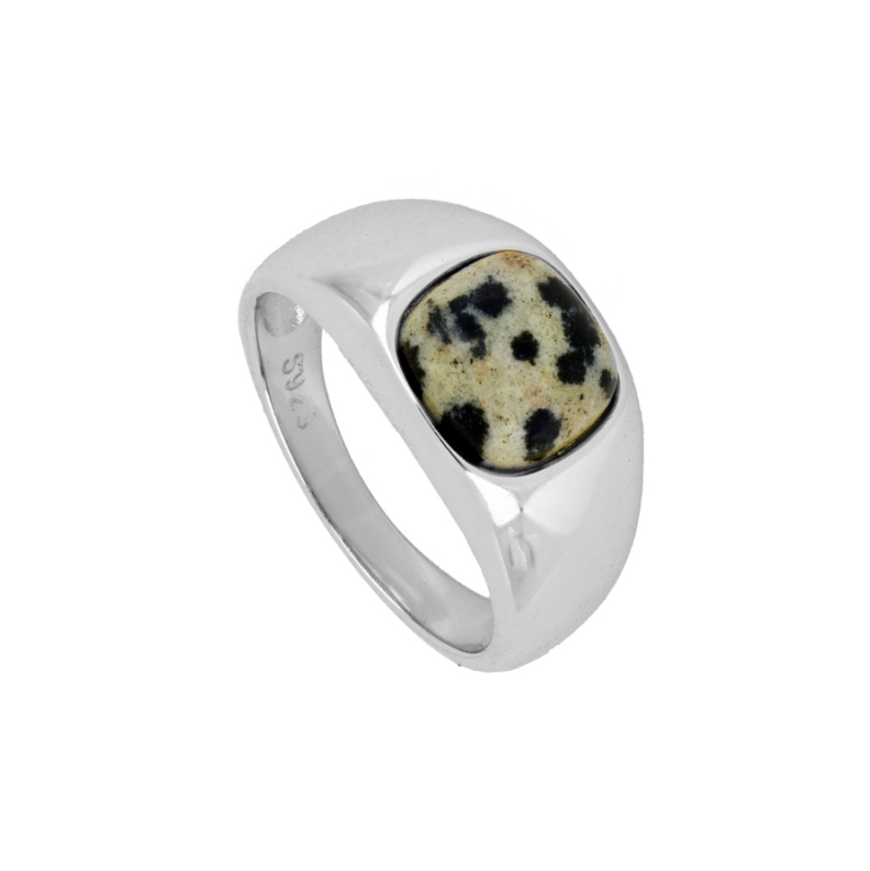 Anillo Zebra