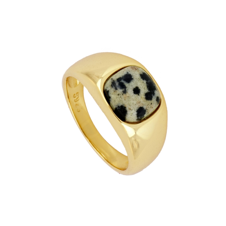 Anillo Zebra