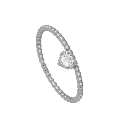 Anillo Especial
