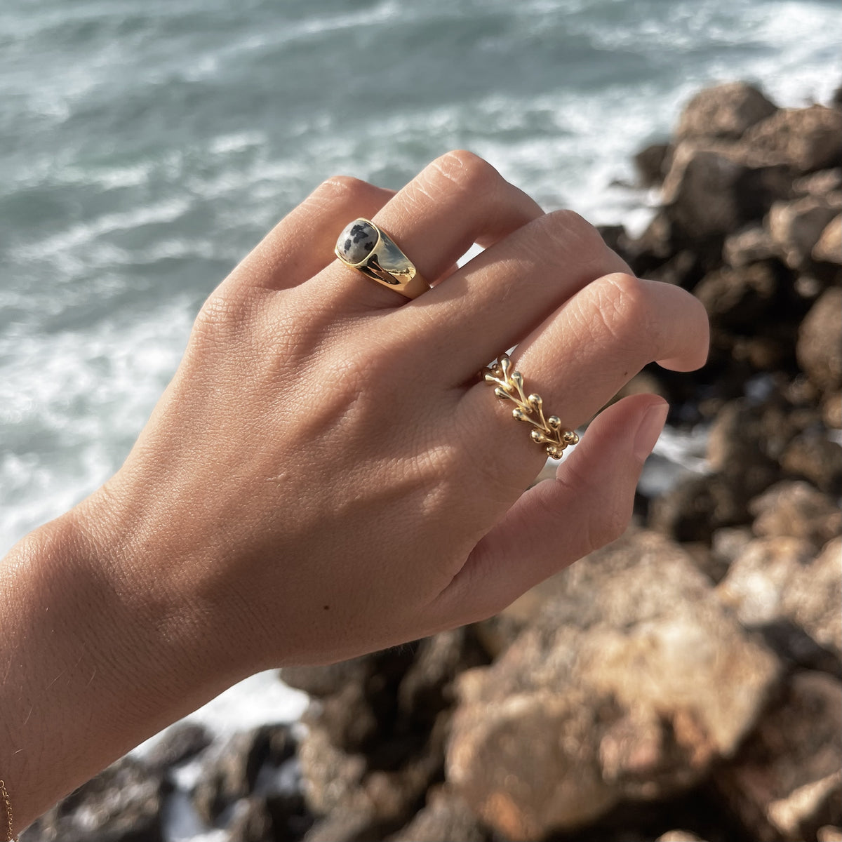 Anillo Zebra
