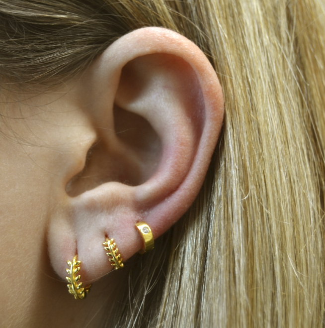 Aros Laurel